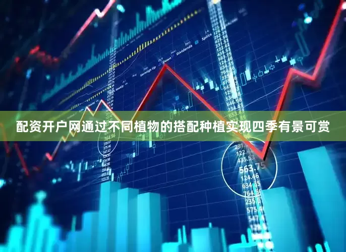 配资开户网通过不同植物的搭配种植实现四季有景可赏
